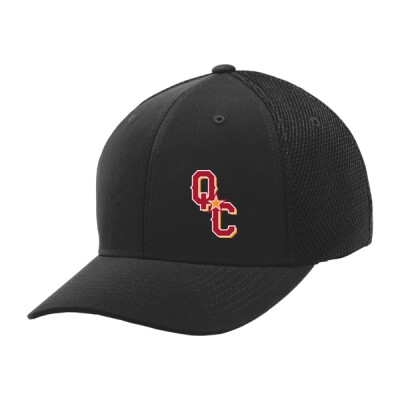 Flexfit All Stars state outline - QC Thumbnail